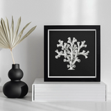 Coral - Ernst Haeckel Ocean Life Art Print, Posters Prints & Visual Artwork, Toby Leon