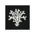 Coral - Ernst Haeckel Ocean Life Art Print, White Coral Specimen Tree-like Structure