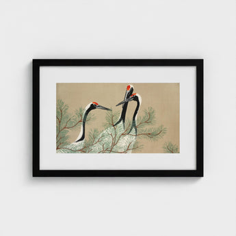 Cranes from Momoyogusa - Kamisaka Sekka Art Print / Canvas Black-framed Artwork Traditional Illustration Three Red-crowned Perched, Nihonga