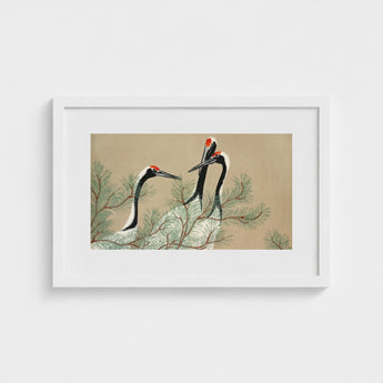 Cranes from Momoyogusa - Kamisaka Sekka Art Print / Canvas White Framed Artwork Traditional-style Illustration Three Black-and-white,