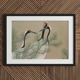 Cranes from Momoyogusa - Kamisaka Sekka Art Print / Canvas, 40x30’’ / 101x76cm / Black Frame / Matboard, Posters Prints & Visual Artwork,
