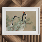 Cranes from Momoyogusa - Kamisaka Sekka Art Print / Canvas, 40x30’’ / 101x76cm / White Frame / Matboard, Posters Prints & Visual Artwork,