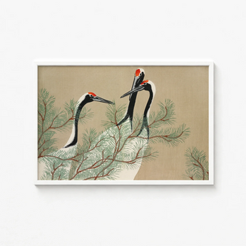 Framed Artwork Three Elegant Black-and-white Cranes Red Crowns Kamisaka Sekka, Nihonga Artistry Meets Rinpa Elegance, Japanese Aesthetic