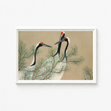 Framed Artwork Three Elegant Black-and-white Cranes Red Crowns Kamisaka Sekka, Nihonga Artistry Meets Rinpa Elegance, Japanese Aesthetic