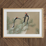 Cranes from Momoyogusa - Kamisaka Sekka Art Print / Canvas Framed Artwork Three Elegant Black-and-white Red Crowns, Nihonga Artistry Meets
