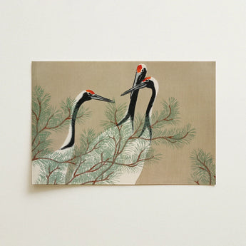 Cranes from Momoyogusa - Kamisaka Sekka Art Print / Canvas Rectangular Canvas Print Three Elegant Red-crowned Cranes Perched Kamisaka