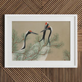 Cranes from Momoyogusa - Kamisaka Sekka Art Print / Canvas White-framed Artwork Three Elegant Black-and-white Red Crowns, Nihonga Artistry