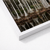 White Framed Art Print Serene Swamp Scene Tall Highsmith, Cypress, Light Pools