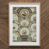Decorative Plates - Auguste Racinet Illustrated Art Print / Canvas, 20x30’’ / 51x76cm / Natural Frame / Matboard, Posters Prints & Visual