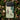 Deer from Momoyogusa - Kamisaka Sekka Phone Case Sekka’s, Iphone