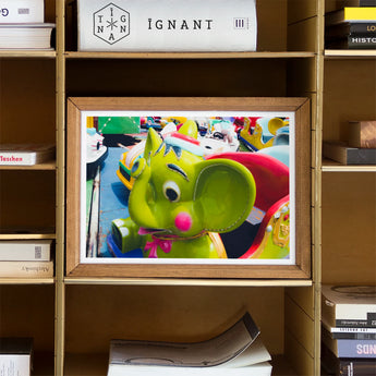 No Dumbo 2 + too Giclée Print / Canvas Framed Photograph Bright Green Cartoon-style Character Googly Eyes, Living Space, Waking Dream Prints