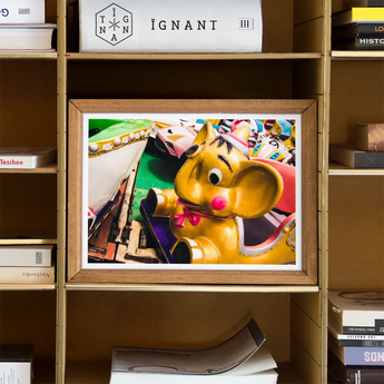 No Dumbo Giclée Print / Canvas Framed Photograph Yellow Cartoon Mouse Character Amusement Park Dumbo Giclée Print, Vibrant Carousel