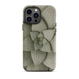 Echeveria Succulent Pattern Phone Case Iphone 13 Pro Max / Matte Matte-finish Phone Case Detailed Muted Green Succulent Design Echeveria