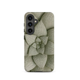 Echeveria Succulent Pattern Phone Case Samsung Galaxy S24 / Matte Sleek Phone Case Detailed Muted Green Succulent Design Echeveria Rosette