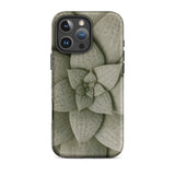Echeveria Succulent Pattern Phone Case Iphone 16 Pro Max / Matte Sleek Matte-finish Phone Case Detailed Muted Green Succulent Echeveria