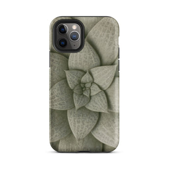Echeveria Succulent Pattern Phone Case Iphone 11 Pro / Matte Sleek Matte-finish Phone Case Detailed Muted Green Succulent Echeveria Rosette