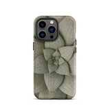 Echeveria Succulent Pattern Phone Case Iphone 13 Pro / Matte Sleek Matte-finish Phone Case Detailed Muted Green Succulent Echeveria Rosette