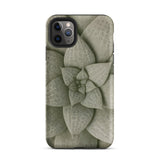 Echeveria Succulent Pattern Phone Case Iphone 11 Pro Max / Matte Sleek Matte-finish Phone Case Detailed Muted Green Succulent Echeveria