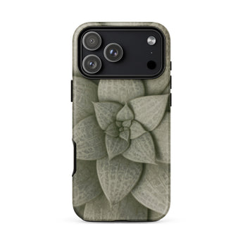 Echeveria Succulent Pattern Phone Case Iphone 17 Pro Max / Matte Sleek Matte-finish Phone Case Detailed Muted Green Succulent Echeveria