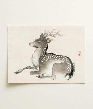 Delicate Ink Wash Painting Spotted Deer Intricate Antlers Kōno Bairei’s Elk, Nihonga Art Print, Meiji-era Artistry