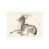 Elk - Kono Bairei Meiji-era Nihonga Deer Art Print / Canvas Spotted Antlers Rendered Traditional Asian Ink Wash Kōno Bairei’s, Artistry