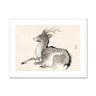 Elk - Kōno Bairei Meiji-era Nihonga Deer Art Print, Spotted Deer Traditional Asian Ink Brush Painting Style