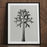 Eryngium Bourgatii (mediterrane zeedistel) - Karl Blossfeldt kunstprint / Canvas, 24x32’’ / 61x81cm / Zwart frame / Passe-partout, Posters