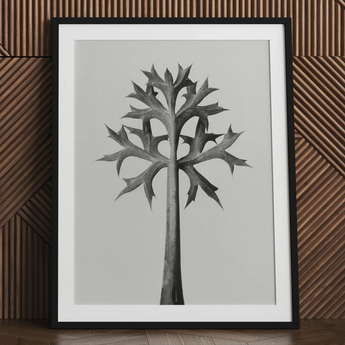 Eryngium Bourgatii (mediterrane zeedistel) - Karl Blossfeldt kunstprint / Canvas, 24x32’’ / 61x81cm / Zwart frame / Passe-partout, Posters