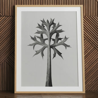 Eryngium Bourgatii (mediterrane zeedistel) - Karl Blossfeldt kunstprint / Canvas, 24x32’’ / 61x81cm / Naturel frame / Passe-partout, Posters