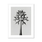 Eryngium Bourgatii (mediterranean Sea Holly) - Karl Blossfeldt Art Print, Black White Botanical Illustration Palm Tree Spiky Angular