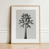 Eryngium Bourgatii (mediterranean Sea Holly) - Karl Blossfeldt Art Print / Canvas, 12x16’’ / 31x41cm / Natural Frame / Matboard, Posters