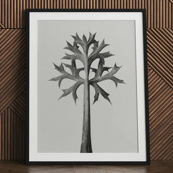 Eryngium Bourgatii (mediterranean Sea Holly) - Karl Blossfeldt Art Print / Canvas Black-framed Detailed Monochrome Sketch Tree Spiky,