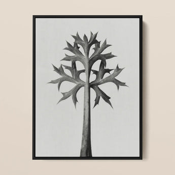 Eryngium Bourgatii (mediterranean Sea Holly) - Karl Blossfeldt Art Print / Canvas Black-framed Minimalist Artwork Stylized Tree Spiky