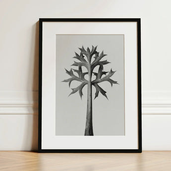 Eryngium Bourgatii (mediterranean Sea Holly) - Karl Blossfeldt Art Print / Canvas Black-framed Stylized Monochromatic Tree Spiky Leaves,