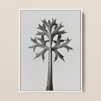 Eryngium Bourgatii (mediterranean Sea Holly) - Karl Blossfeldt Art Print / Canvas Black-and-white Framed Artwork Stylized Tree Spiky