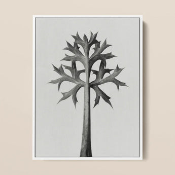 Eryngium Bourgatii (mediterranean Sea Holly) - Karl Blossfeldt Art Print / Canvas Black-and-white Framed Artwork Stylized Tree Spiky