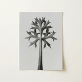 Eryngium Bourgatii (mediterranean Sea Holly) - Karl Blossfeldt Art Print / Canvas Black-and-white Watercolor Illustration Stylized Tree