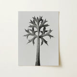 Eryngium Bourgatii (mediterranean Sea Holly) - Karl Blossfeldt Art Print / Canvas Black-and-white Watercolor Illustration Stylized Tree