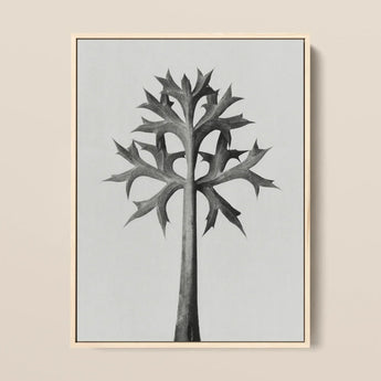 Eryngium Bourgatii (mediterranean Sea Holly) - Karl Blossfeldt Art Print / Canvas Minimalist Black-and-white Framed Artwork Stylized Tree