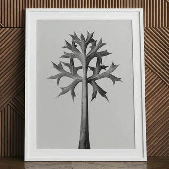Eryngium Bourgatii (mediterranean Sea Holly) - Karl Blossfeldt Art Print / Canvas Minimalist Black-and-white Framed Artwork Stylized Tree