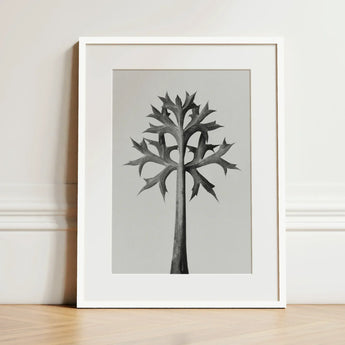 Eryngium Bourgatii (mediterranean Sea Holly) - Karl Blossfeldt Art Print / Canvas Minimalist Black-and-white Framed Stylized Tree Spiky,