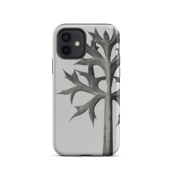 Eryngium Bourgatii (mediterranean Sea Holly) - Karl Blossfeldt Phone Case Gray Phone Case Stylized Leaf Design Karl Blossfeldt,