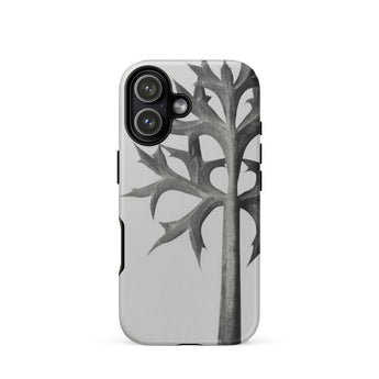 Eryngium Bourgatii (mediterranean Sea Holly) - Karl Blossfeldt Phone Case, Karl Blossfeldt, Blossfeldt’s Botanical Enigma, Mediterranean
