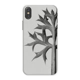 Eryngium Bourgatii (mediterranean Sea Holly) - Karl Blossfeldt Phone Case Iphone x / Matte Phone Case Black White Design Thorny Plant Stem