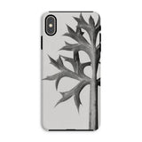Eryngium Bourgatii (mediterranean Sea Holly) - Karl Blossfeldt Phone Case, Karl Blossfeldt, Blossfeldt’s Botanical Enigma, Mediterranean