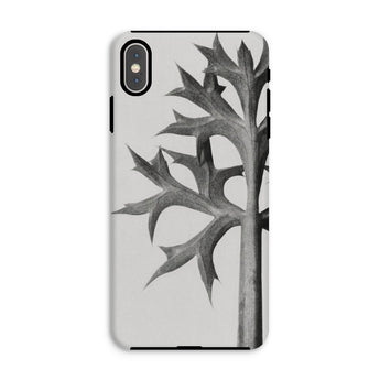Eryngium Bourgatii (mediterranean Sea Holly) - Karl Blossfeldt Phone Case, Karl Blossfeldt, Blossfeldt’s Botanical Enigma, Mediterranean