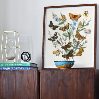 European Butterflies & Moths 2 - William Forsell Kirby Art Print / Canvas Framed Botanical Art Print Butterflies Flowers Orange Black
