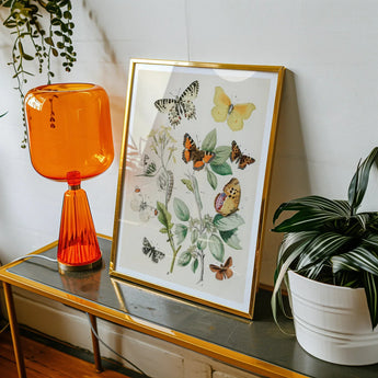 European Butterflies & Moths 3 - William Forsell Kirby Art Print / Canvas Framed Botanical Print Colorful Butterflies Leaves William