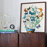 European Butterflies & Moths - William Forsell Kirby Art Print / Canvas Framed Botanical Artwork Colorful Butterflies Delicate Foliage Bowl