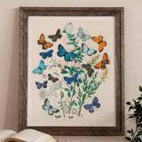 European Butterflies & Moths - William Forsell Kirby Art Print / Canvas Framed Botanical Colorful Plants, Victorian Naturalist’s Paradise,